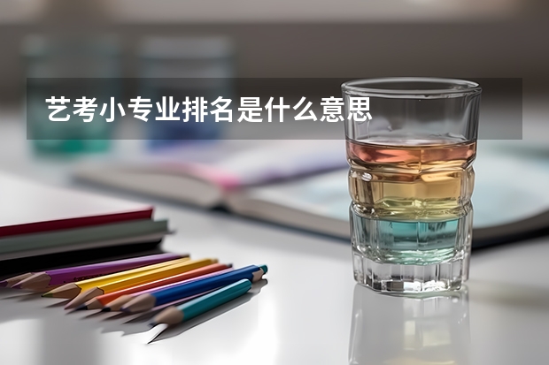 艺考小专业排名是什么意思