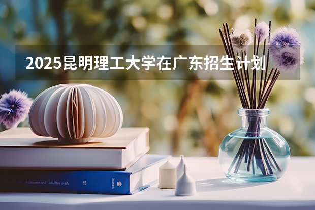 2025昆明理工大学在广东招生计划人数
