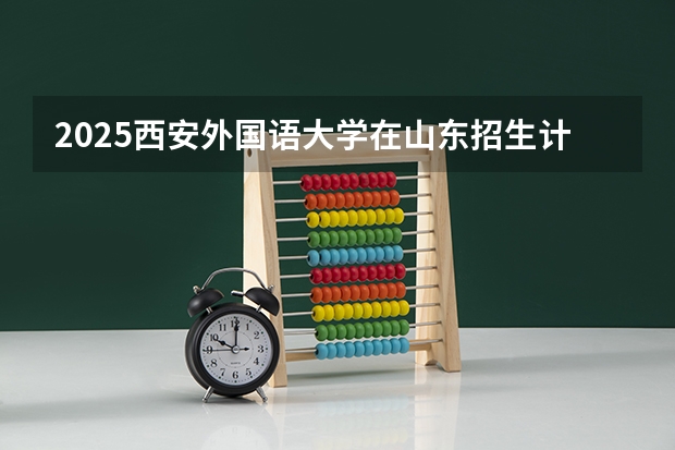 2025西安外国语大学在山东招生计划人数