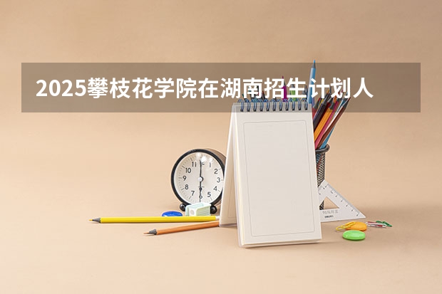 2025攀枝花学院在湖南招生计划人数