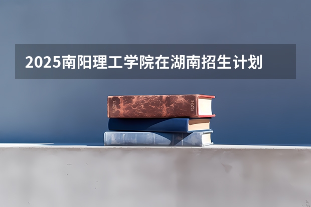2025南阳理工学院在湖南招生计划人数