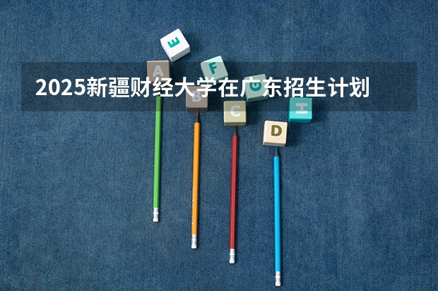 2025新疆财经大学在广东招生计划人数