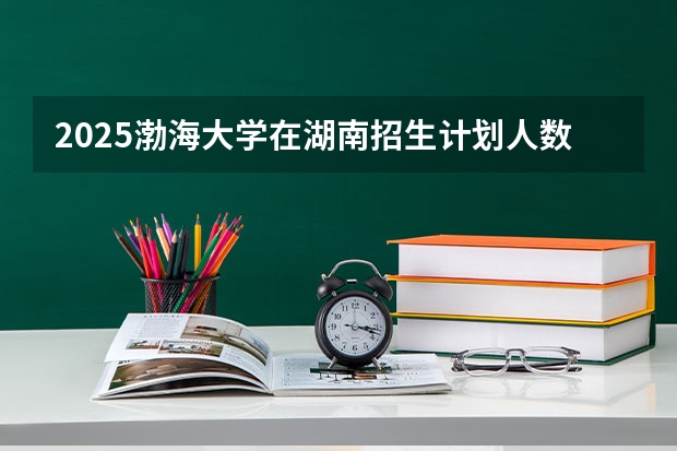 2025渤海大学在湖南招生计划人数