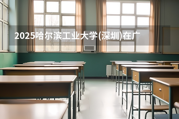 2025哈尔滨工业大学(深圳)在广东招生计划人数