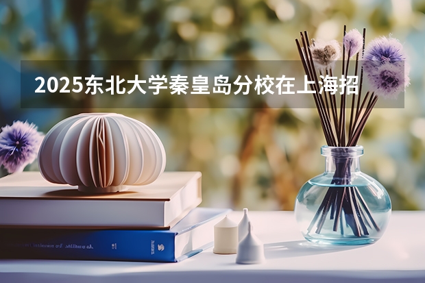 2025东北大学秦皇岛分校在上海招生计划人数