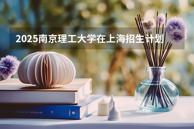 2025南京理工大学在上海招生计划人数