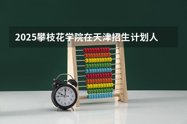 2025攀枝花学院在天津招生计划人数