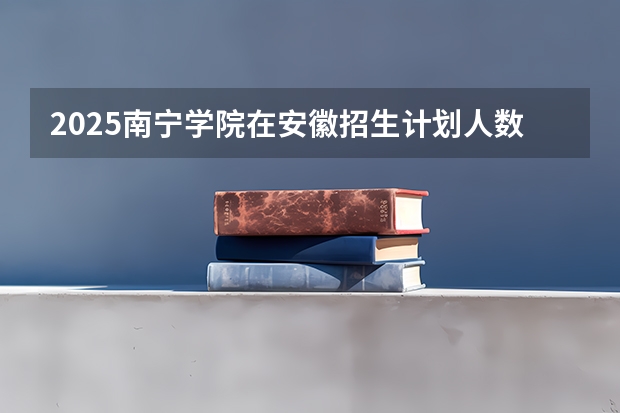 2025南宁学院在安徽招生计划人数