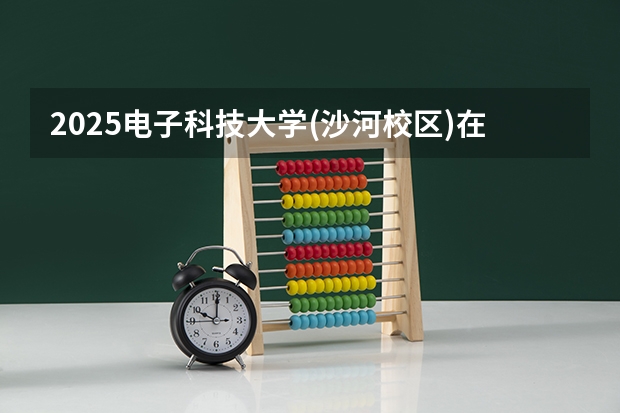 2025电子科技大学(沙河校区)在上海招生计划人数