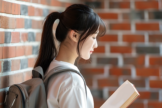 2024年湖南城市学院最低录取分数线