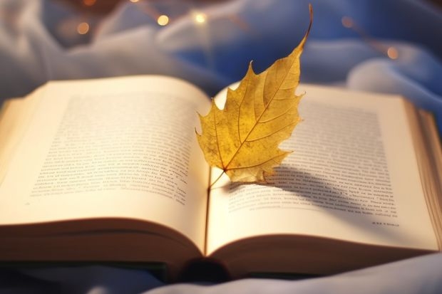 吉林师范大学博达学院是本科还是专科院校？