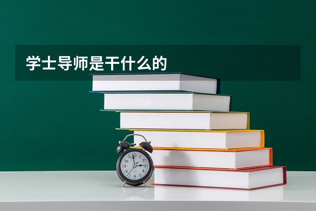 学士导师是干什么的