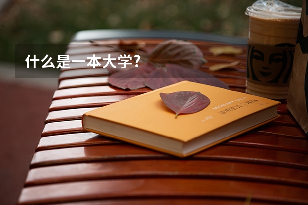 什么是一本大学?