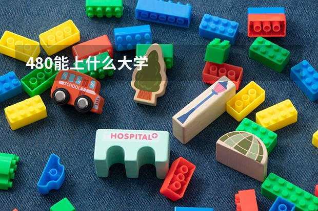 480能上什么大学