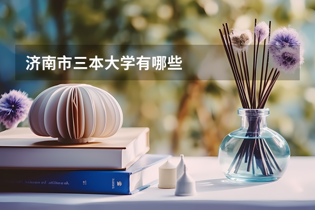 济南市三本大学有哪些