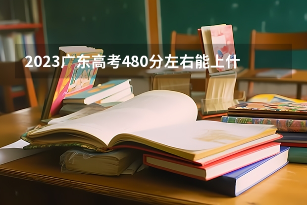 2023广东高考480分左右能上什么样的大学