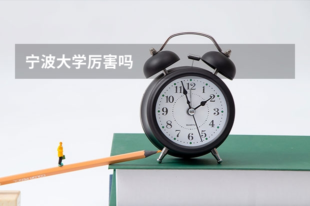 宁波大学厉害吗