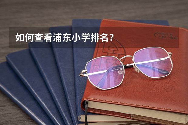 如何查看浦东小学排名?