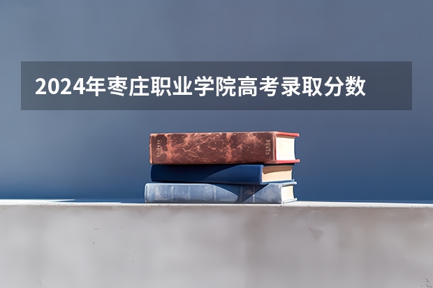 2024年枣庄职业学院高考录取分数线是多少？