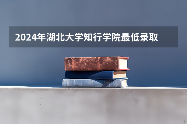 2024年湖北大学知行学院最低录取分数线