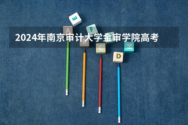 2024年南京审计大学金审学院高考录取分数线是多少？