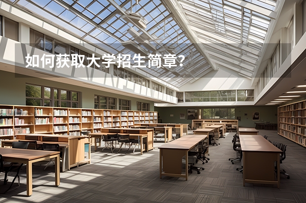 如何获取大学招生简章？