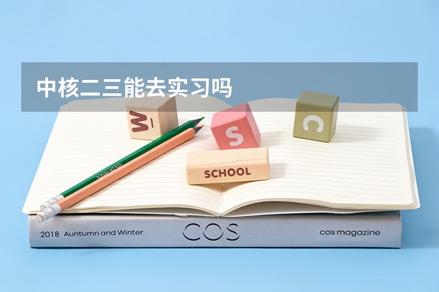 中核二三能去实习吗