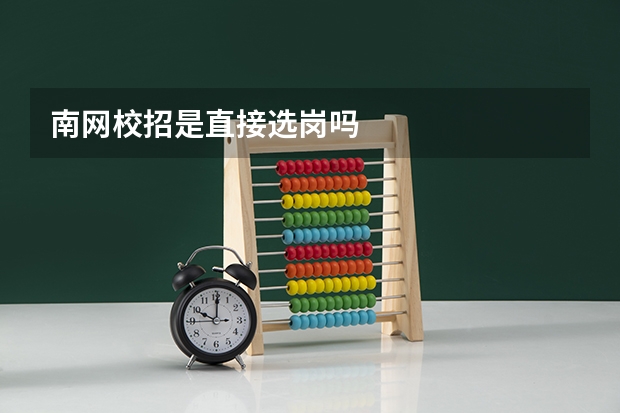 南网校招是直接选岗吗