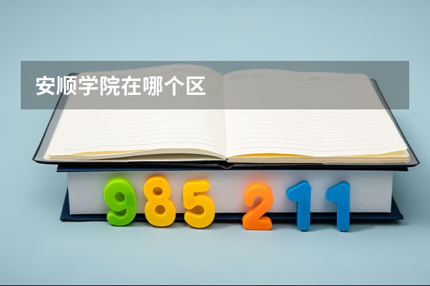 安顺学院在哪个区