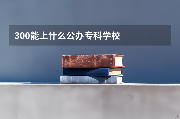 300能上什么公办专科学校