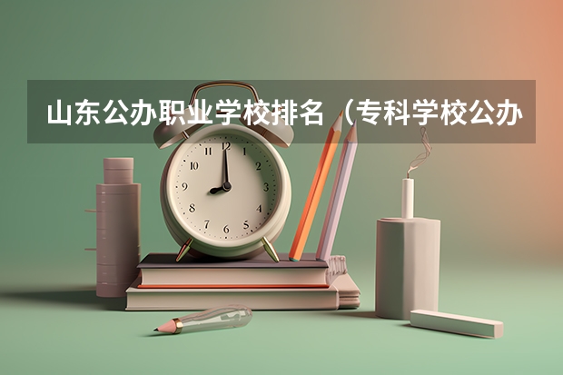 山东公办职业学校排名（专科学校公办好还是民办好？）