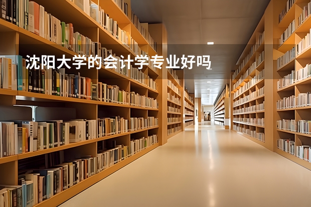 沈阳大学的会计学专业好吗