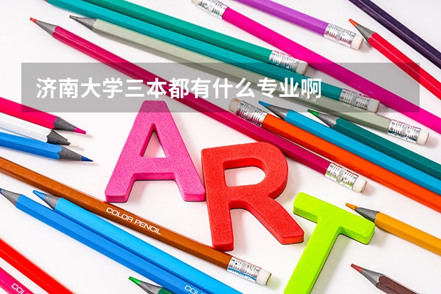 济南大学三本都有什么专业啊