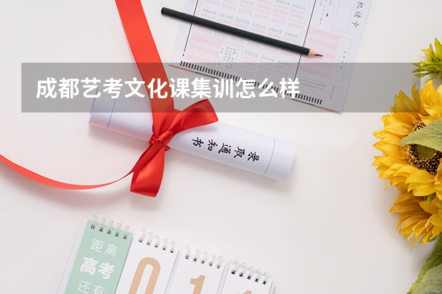 成都艺考文化课集训怎么样
