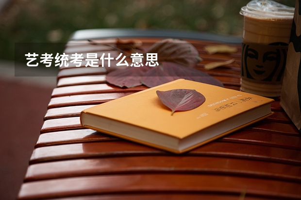 艺考统考是什么意思