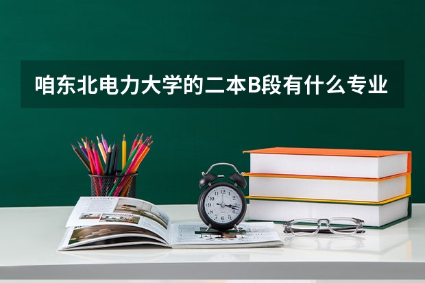 咱东北电力大学的二本B段有什么专业