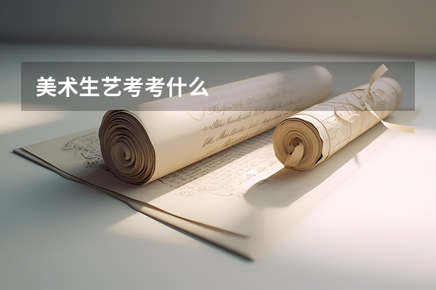 美术生艺考考什么
