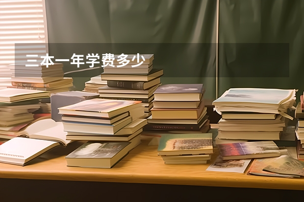 三本一年学费多少
