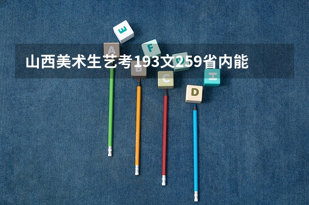 山西美术生艺考193文259省内能上什么学校？