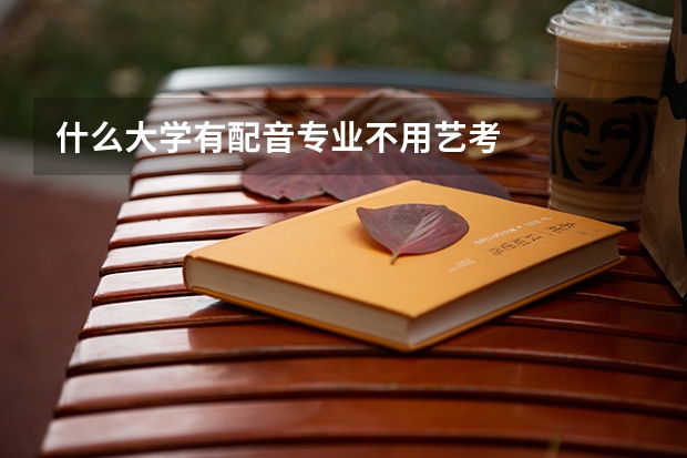 什么大学有配音专业不用艺考