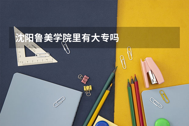 沈阳鲁美学院里有大专吗