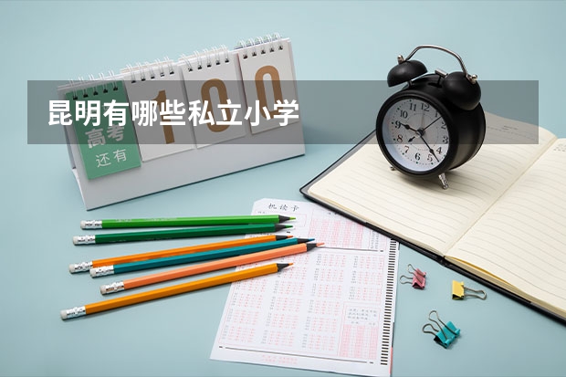 昆明有哪些私立小学