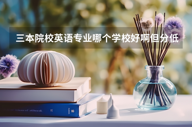三本院校英语专业哪个学校好啊但分低?
