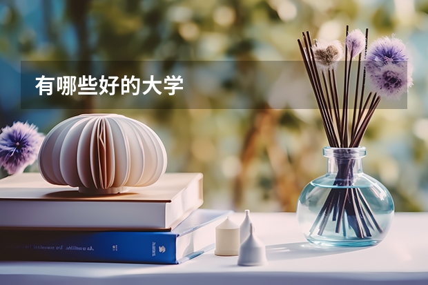 有哪些好的大学