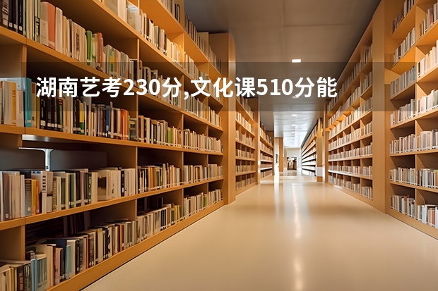 湖南艺考230分,文化课510分能上什么大学如果有这个分，想报考外省的美术生？