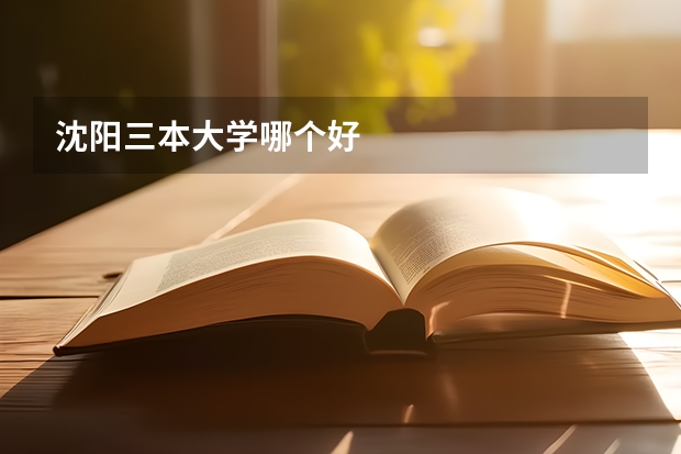 沈阳三本大学哪个好