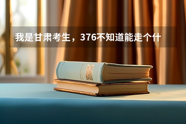 我是甘肃考生，376不知道能走个什么，想走个外地的大专或者三本。不知道可以不？