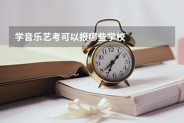 学音乐艺考可以报哪些学校