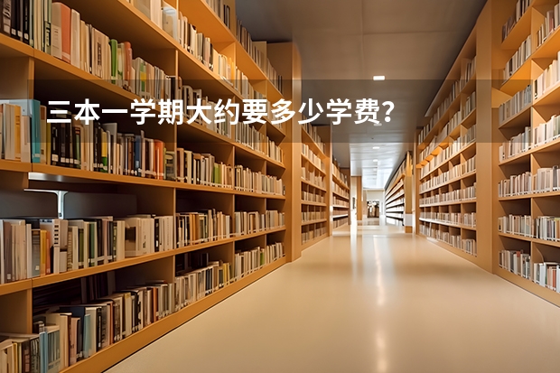 三本一学期大约要多少学费？