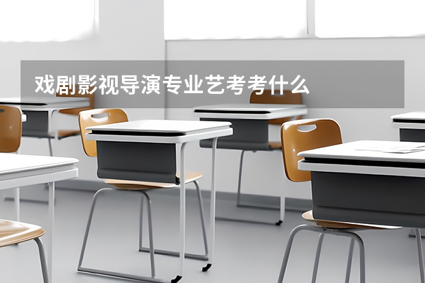 戏剧影视导演专业艺考考什么